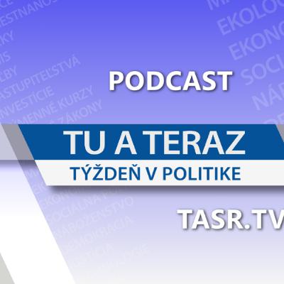 HRABKO: SaS mala novelu predložiť, keď bola súčasťou ústavnej väčšiny