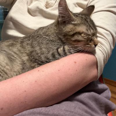 Poll on Apple Podcasts Poll on Apple Podcasts