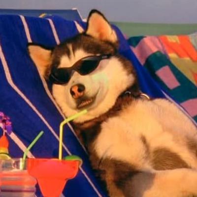 Episode #183 - Snow Dogs