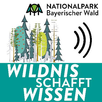 Wildnis schafft Wissen: Grenzenlose Waldwildnis Wildnis schafft Wissen: Grenzenlose Waldwildnis