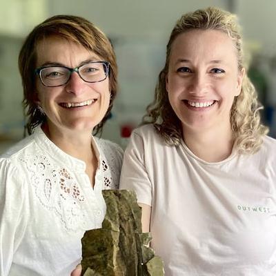 “Wonder reptile” fossil challenges ideas about how and when feathers evolved