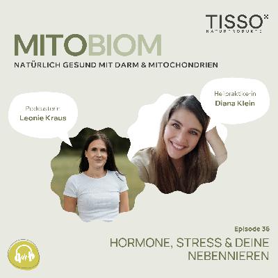 #36 Hormone, Stress & deine Nebennieren