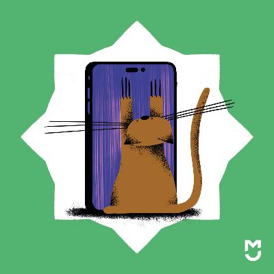 Collega’s meekrijgen in het digitale, dat is als draadlopen. Collega’s meekrijgen in het digitale, dat is als draadlopen.