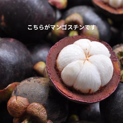 EP26 | 2025年7月5日問題がタイでも話題 / 3日間断食がすごすぎた / 最近空芯菜にハマってます / マンゴスチンは絶対食べてほしい EP26 | 2025年7月5日問題がタイでも話題 / 3日間断食がすごすぎた / 最近空芯菜にハマってます / マンゴスチンは絶対食べてほしい