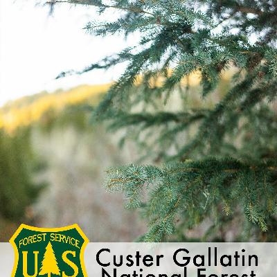 Ep10 Mary Erickson, The Decision Maker Ep10 Mary Erickson, The Decision Maker