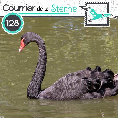 CDLS#128 : Les maitres des hair ( Ménure d'Albert et Cygne noir)