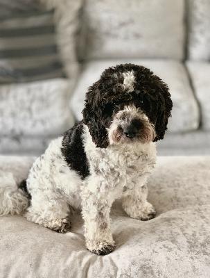 #234 : December, Baby!!! - Jackin' House - 7th December, 2025