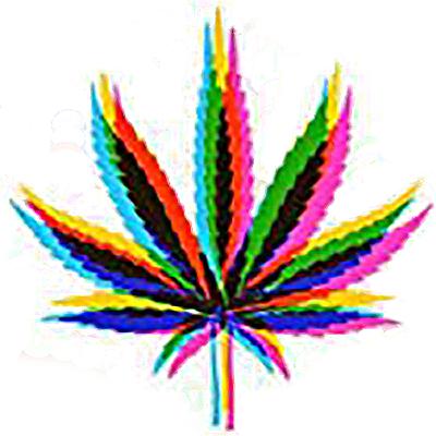 420 Celebration with Asiya & Friends!