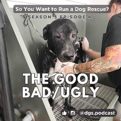 3.4: The Good, the Bad, and the Ugly (Dog Rescue Edition) 3.4: The Good, the Bad, and the Ugly (Dog Rescue Edition)