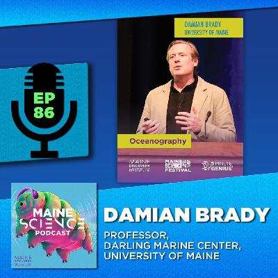 Damian Brady (oceanography) Damian Brady (oceanography)