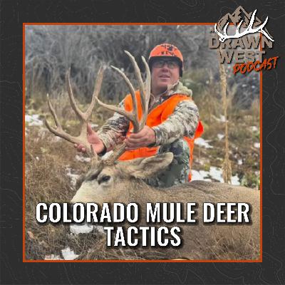 Colorado Mule Deer Tactics Colorado Mule Deer Tactics