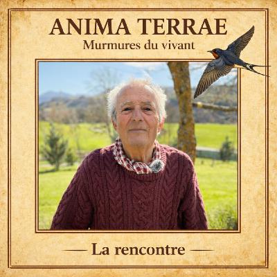 Hirondelles, le sage et l'oiseau: La rencontre