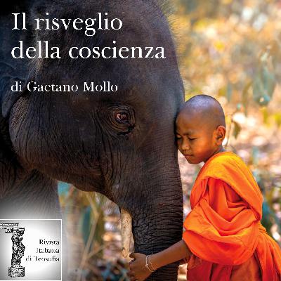 Il risveglio della coscienza - Gaetano Mollo
