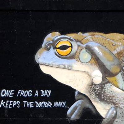 Episode 3: The Bufo Continues Episode 3: The Bufo Continues