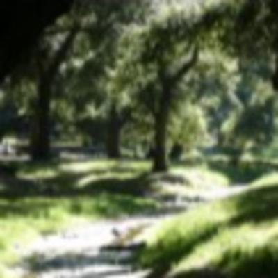 The San Diego Fires The San Diego Fires