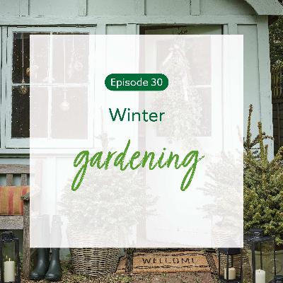 30: Winter gardening