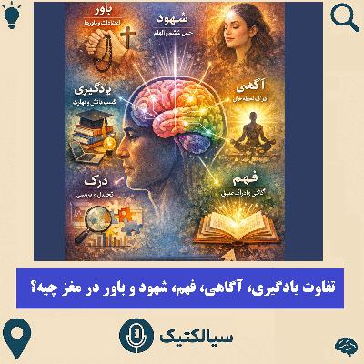 سیالکتیک: تفاوت یادگیری، آگاهی، فهم، شهود و باور در مغز چیه؟