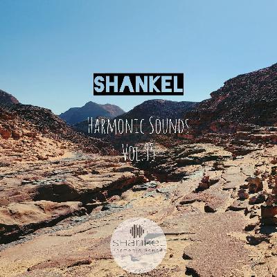 Shankel - Harmonic Sounds 95 #95