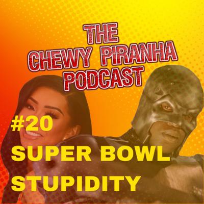 #20: Super Bowl Stupidity #20: Super Bowl Stupidity