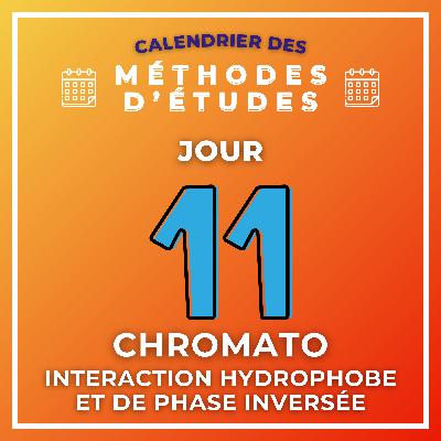 J11 : Chromatographie d'interaction hydrophobe et à polarité de phase inversée