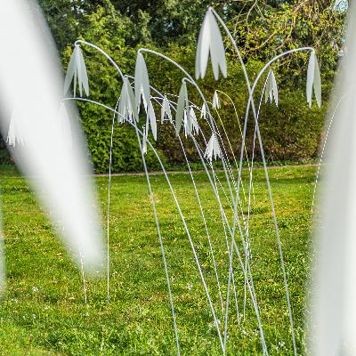 Kunst #4: Olga Golos "Schwebende Blüten"