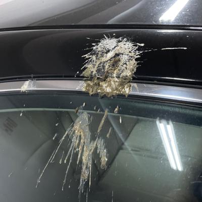 Crap I Deal with On the Daily Crap I Deal with On the Daily