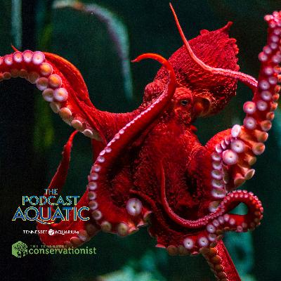 Mic Droplet: Nine Brains Worth of Crazy 🐙 Facts