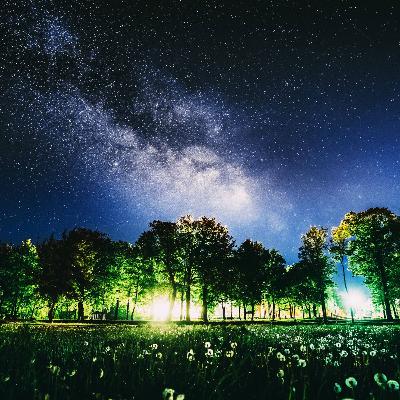 What If: Consciousness Exists Outside the Body? What If: Consciousness Exists Outside the Body?