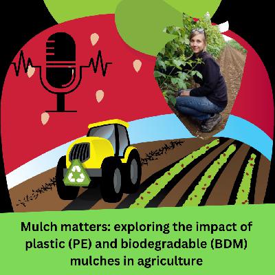 Mulch matters: exploring the impact of plastic (PE) and biodegradable (BDM) mulches in agriculture
