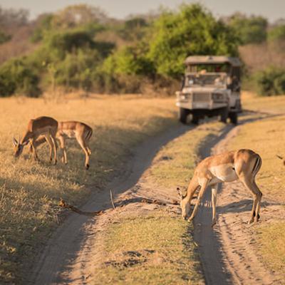 Yine Yeniden Yollarda , Botswana