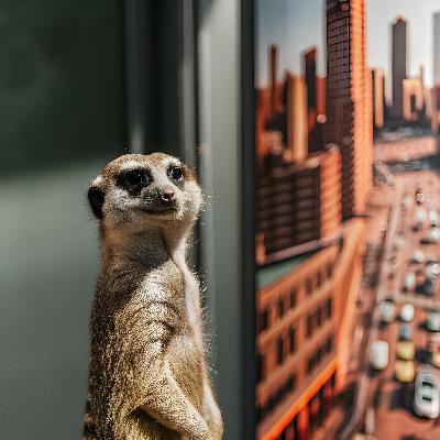 Продуктовый Top Of Mind с Владимиром Меркушевым