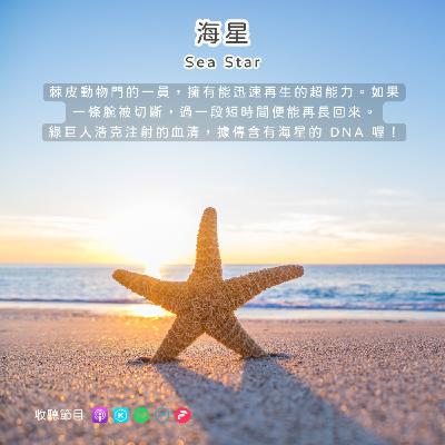 EP101 海星 🌊⭐ 夢幻再生超能力、翻胃吃飯…居然還能變成海底魔王？！😈