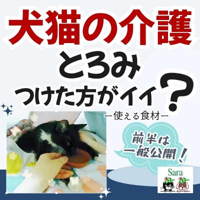 #1048. 犬猫の介護：とろみをつけた方がイイ❓食材は何を使う❓（質問に回答）