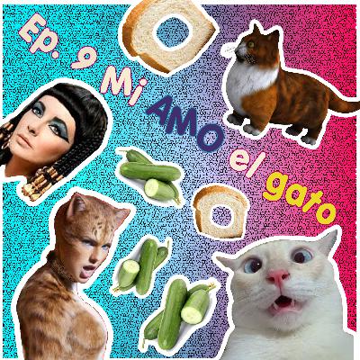 Mi AMO el gato