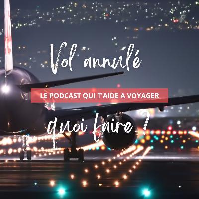 Vol annulé : 4 éléments essentiels à connaître pour vous préparer Vol annulé : 4 éléments essentiels à connaître pour vous préparer