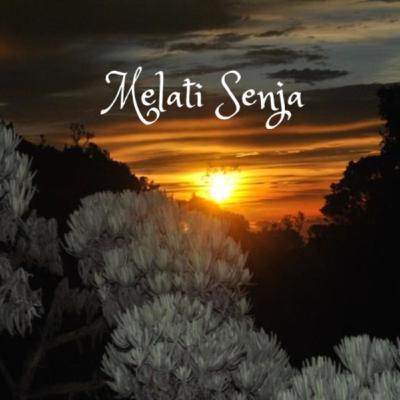 Melati Senja Berkenalan