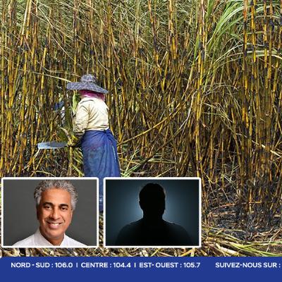 Canne à sucre : subventions promises aux planteurs et le recours à la main-d’œuvre étrangère exploré Canne à sucre : subventions promises aux planteurs et le recours à la main-d’œuvre étrangère exploré