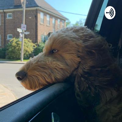 First Contract Podcast