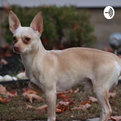 what will other people think/say?