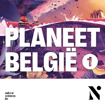 Planeet België - Wij zijn Avaloniërs (afl. 1/5)