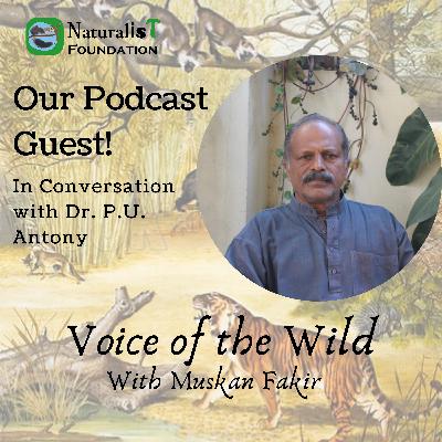 In Conversation with Green Teacher of the Year!