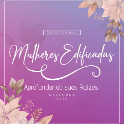 #3 Aprofundando suas Raízes