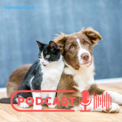 Cómo mantener tu hogar limpio cuando tienes mascotas
