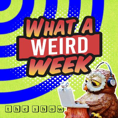 What a Weird Week Fri Sept 12, 2025: UFOS! Life on Mars! #BonusTrack at the end!