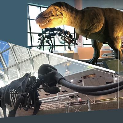 EP52  化石的複製、復原、模型，你知道如何分辨嗎？