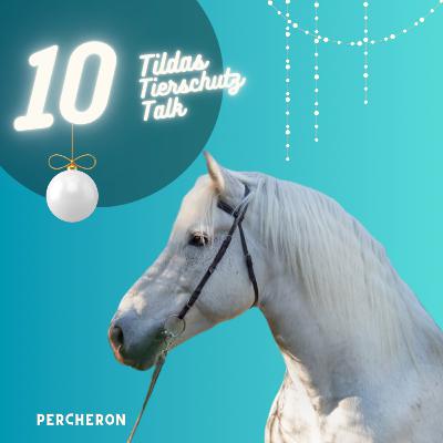 10. Türchen ✨