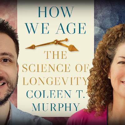 #1211 Coleen Murphy - How We Age: The Science of Longevity