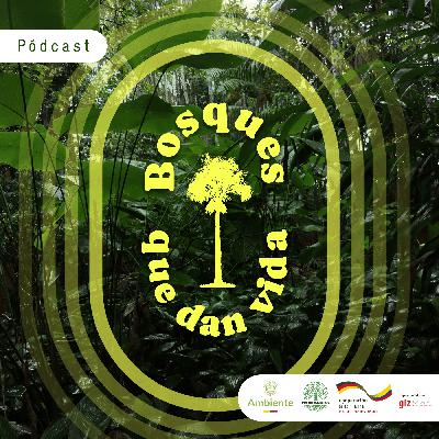 CABEZOTE BOSQUES QUE DAN VIDA CABEZOTE BOSQUES QUE DAN VIDA