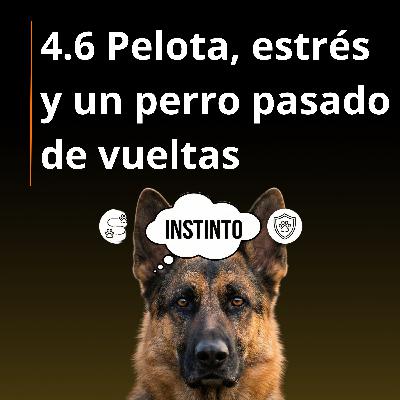 4.6 Pelota, estrés y un perro pasado de vueltas: el error más común