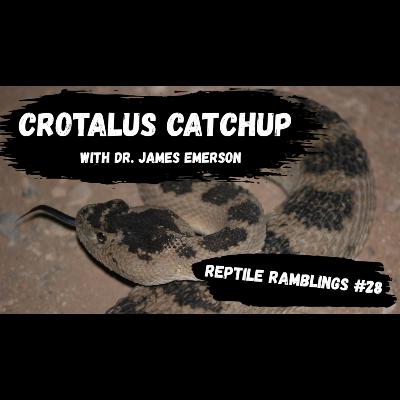Crotalus Catchup with Dr. James Emerson | Reptile Ramblings #28